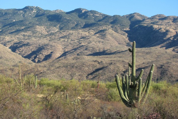 These trails easy as pie to access